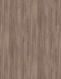 Magas Oak